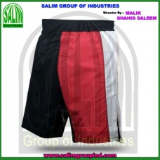 MMA Shorts (Multi Panel)